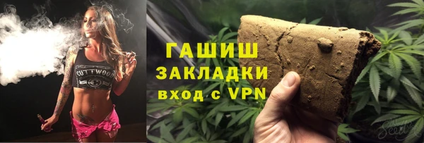 шишки Новодвинск