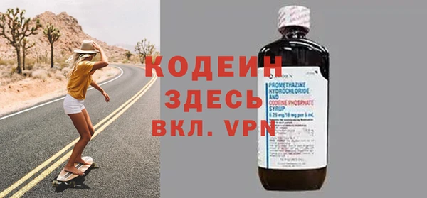 шишки Новодвинск