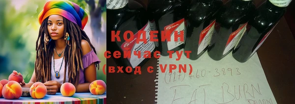 шишки Новодвинск