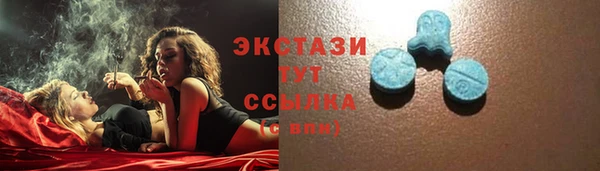 шишки Новодвинск