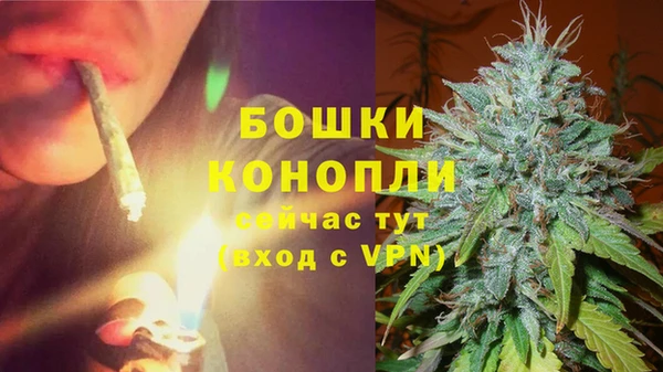 шишки Новодвинск