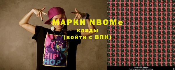 шишки Новодвинск