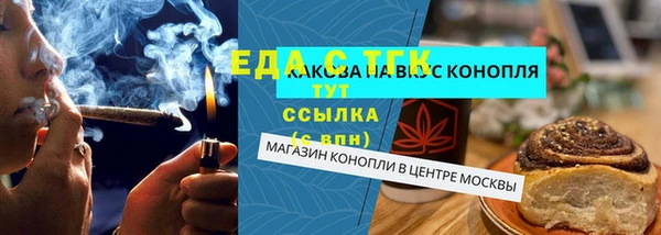 шишки Новодвинск
