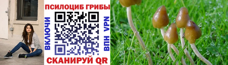Галлюциногенные грибы Magic Shrooms  Полярные Зори 