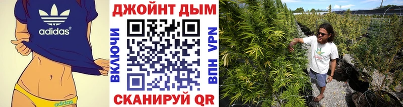 Канабис конопля  продажа наркотиков  Полярные Зори 